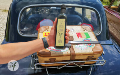 Degustazione e raduno auto d’epoca una passione senza tempo