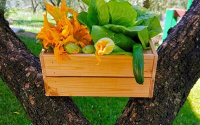 Farmers Market è una filosofia di consumo ecosostenibile