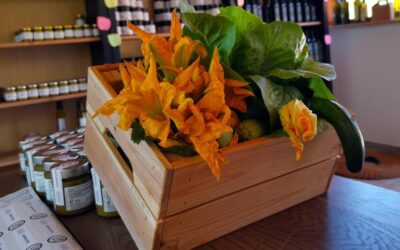 Perché l’olio d’oliva e l’insalata sono la dieta perfetta per la tua salute