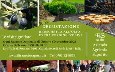 Assapora l’Eccellenza dell’Olio  Extravergine di oliva